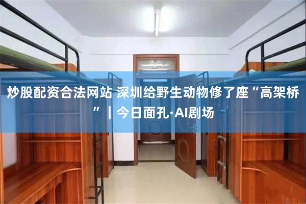 炒股配资合法网站 深圳给野生动物修了座“高架桥”｜今日面孔·AI剧场