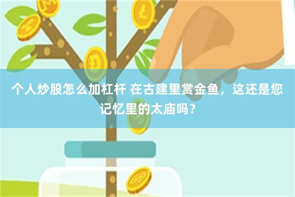个人炒股怎么加杠杆 在古建里赏金鱼，这还是您记忆里的太庙吗？