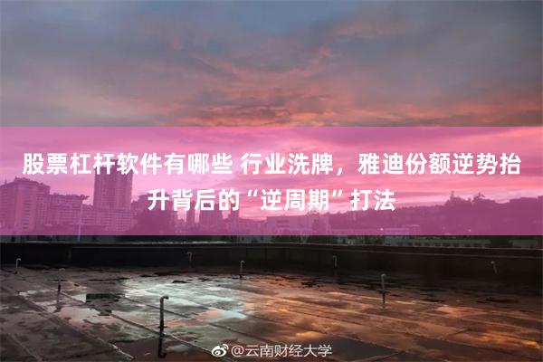 股票杠杆软件有哪些 行业洗牌，雅迪份额逆势抬升背后的“逆周期”打法