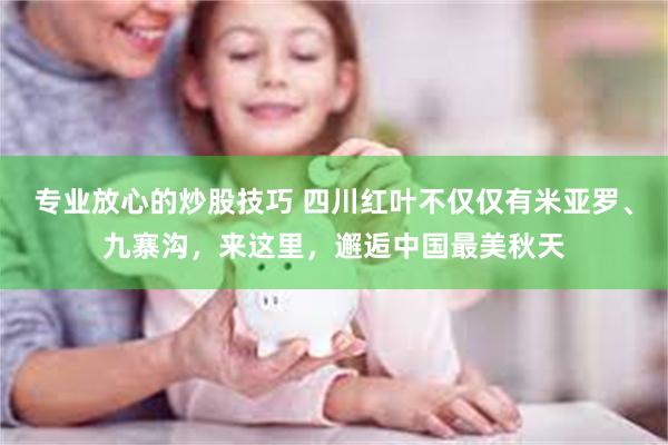 专业放心的炒股技巧 四川红叶不仅仅有米亚罗、九寨沟，来这里，邂逅中国最美秋天