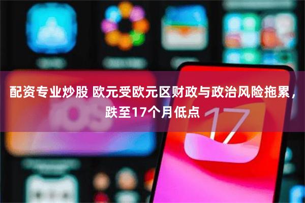 配资专业炒股 欧元受欧元区财政与政治风险拖累，跌至17个月低点