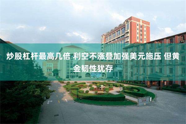 炒股杠杆最高几倍 利空不涨叠加强美元施压 但黄金韧性犹存