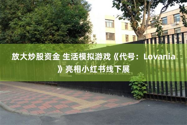 放大炒股资金 生活模拟游戏《代号：Lovania》亮相小红书线下展