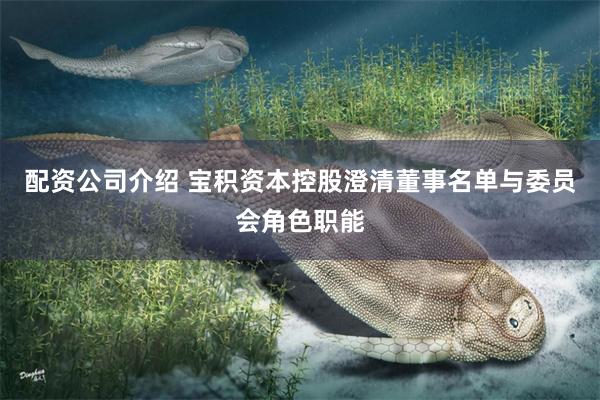 配资公司介绍 宝积资本控股澄清董事名单与委员会角色职能